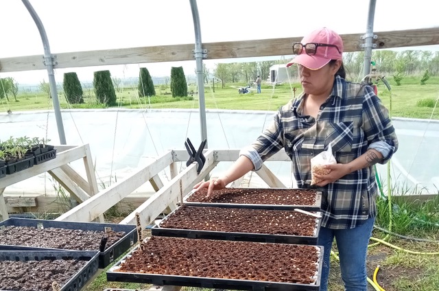 USDA-NIFA Funding Opportunity Announced